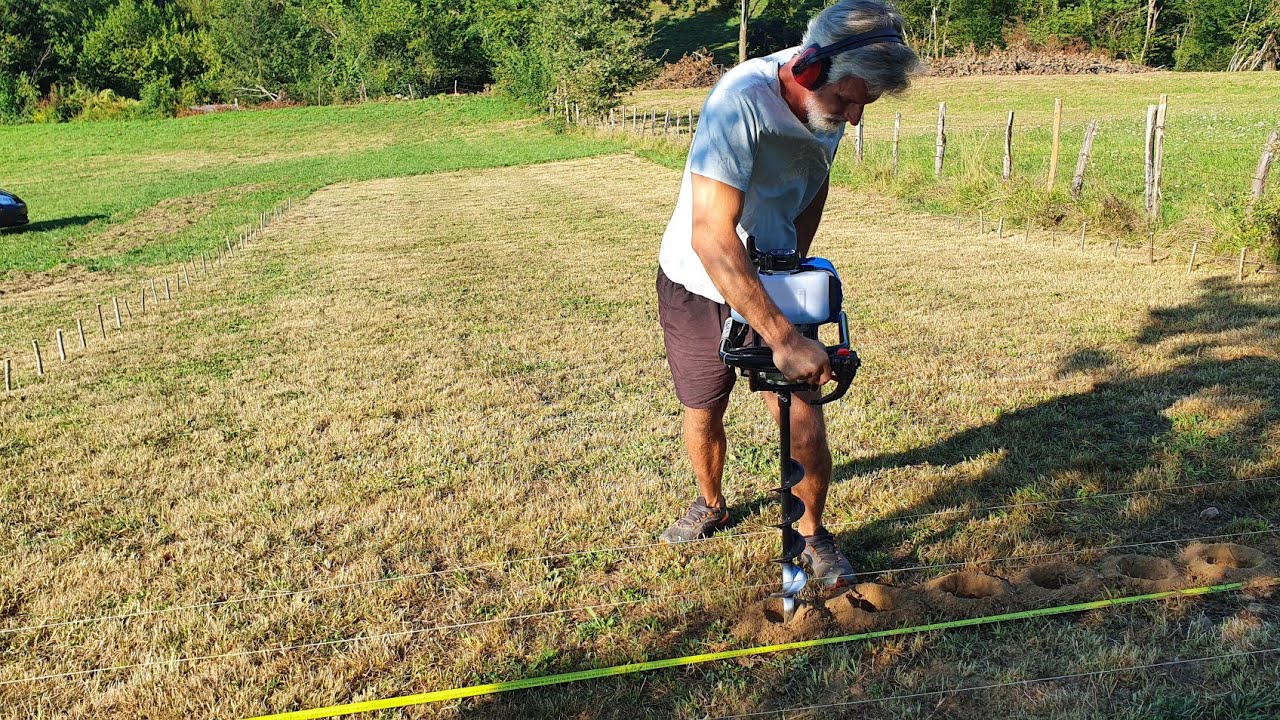 Notre Safran du Quercy, comment on le cultive chez nous ❗ #safranière #paysan #produitduterroir