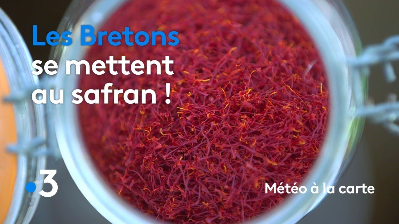 Les Bretons se mettent au safran ! - Météo à la carte