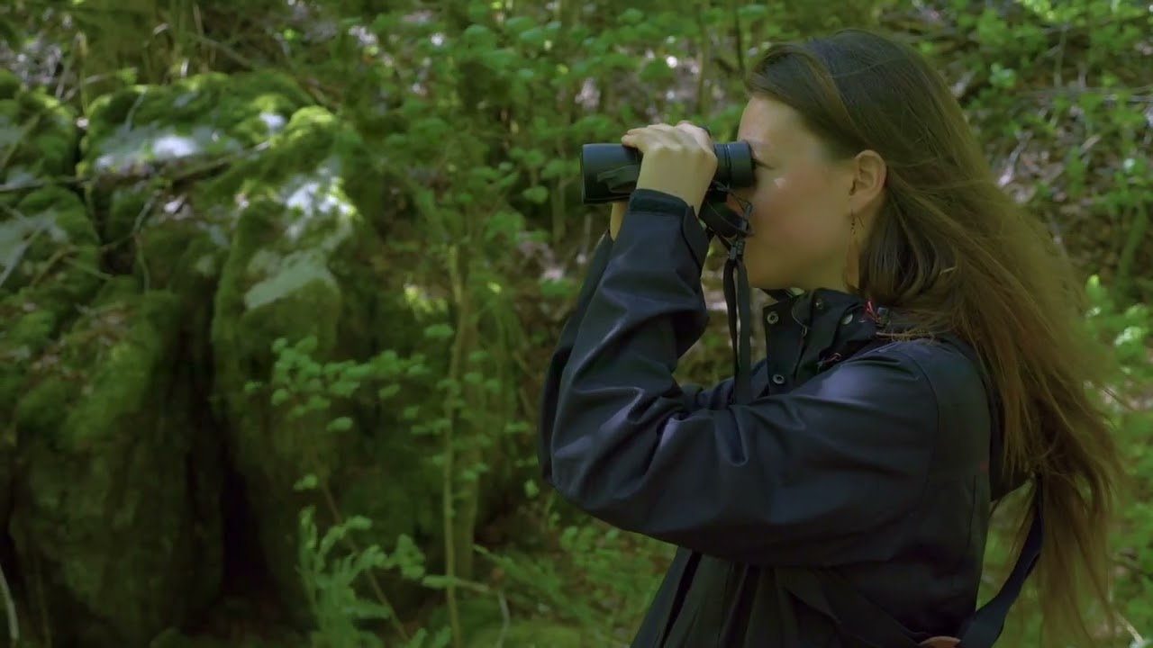 La biodiversité des rivières : l'exemple du Guiers mort dans la Chartreuse