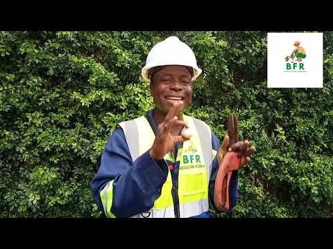 Le safran, 35 000€/Kg comment cultiver l'épice la plus chère au monde?