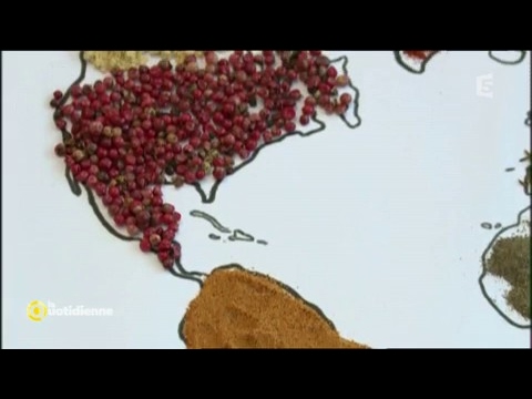 Epices : comment reconnaître les meilleures ? - La Quotidienne