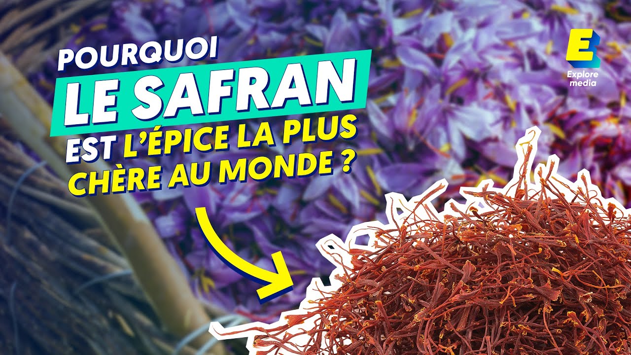 Le safran, l'épice la plus chère au monde !