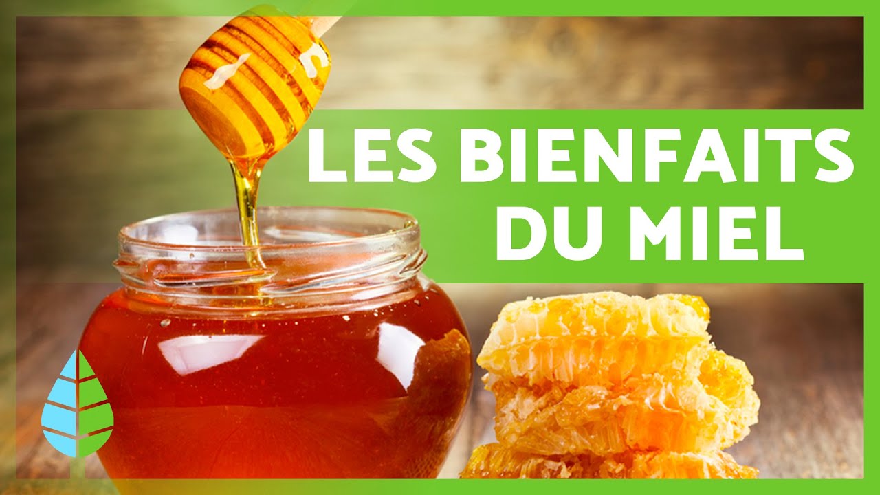 8 BIENFAITS incroyables du MIEL 🍯✅ Quels sont les bienfaits du miel ?