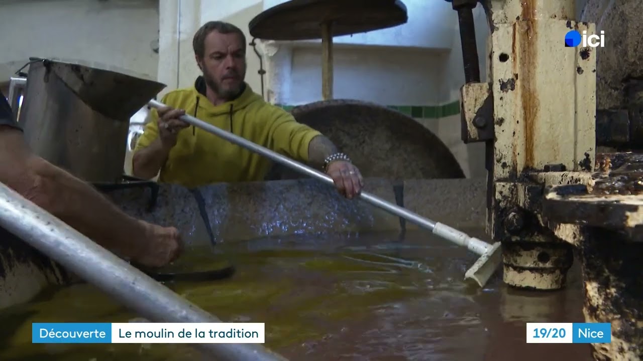 La méthode génoise : le secret d’une huile d’olive douce et savoureuse