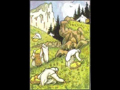 Le secret de la chartreuse