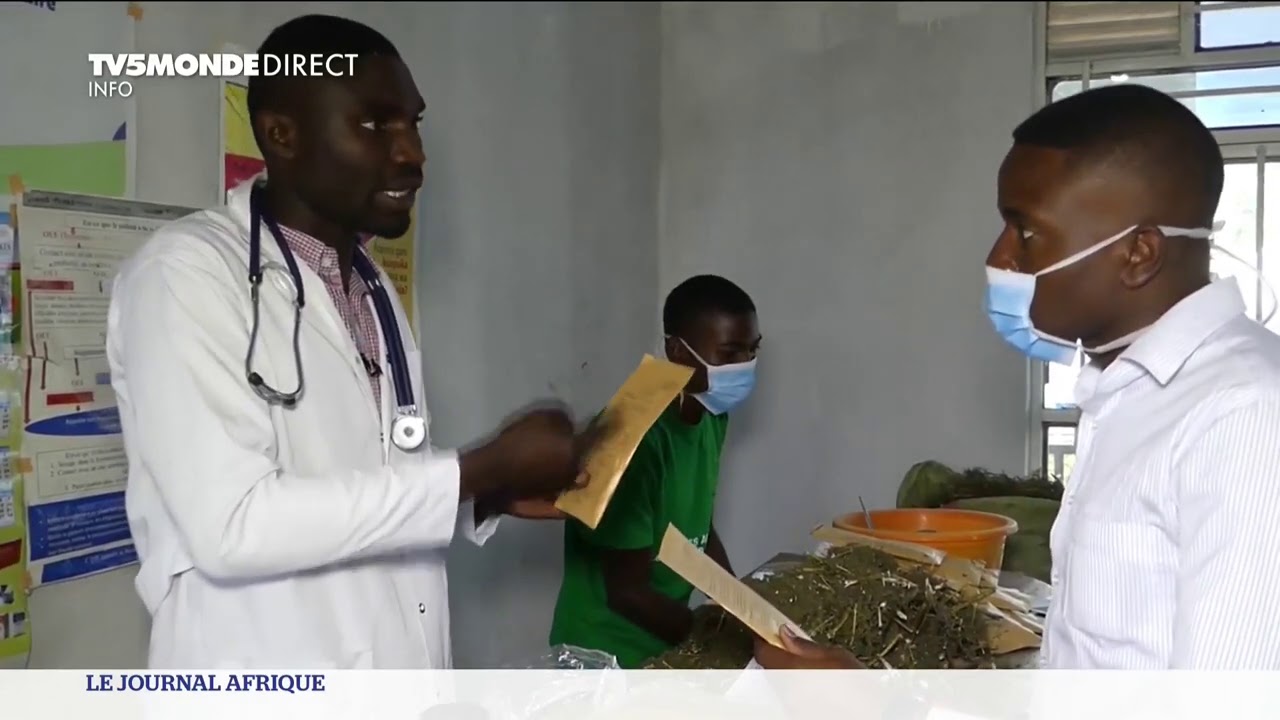 L'artemisia, plante miracle contre le coronavirus ?