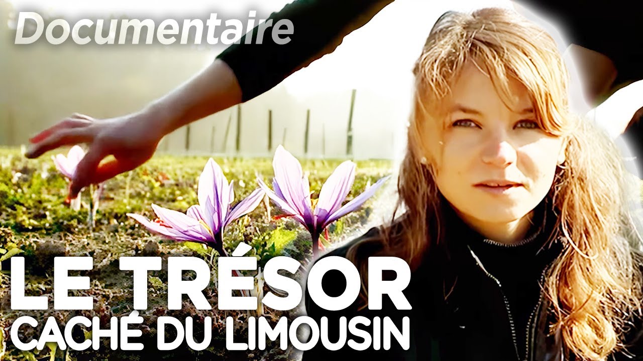 Safran : le trésor caché du Limousin - documentaire complet