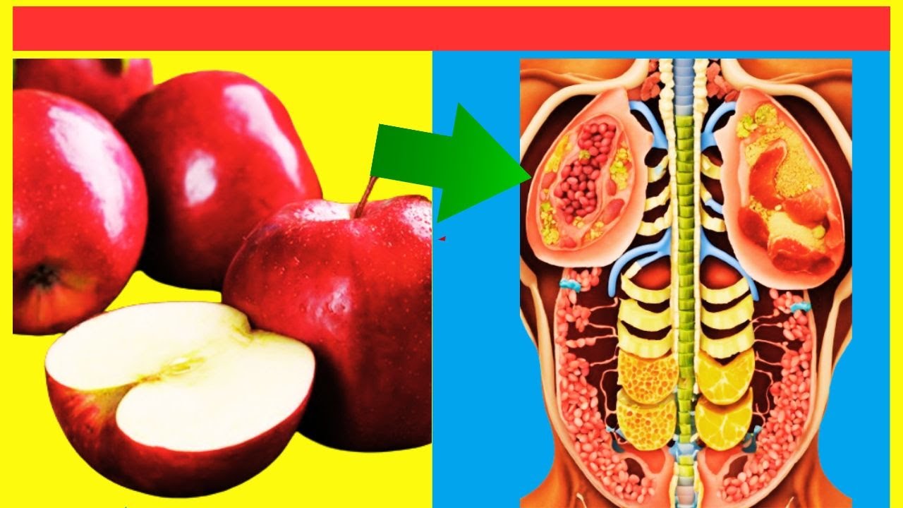 DECOUVREZ LES  BIENFAITS INCROYABLES DE LA POMME POUR LA SANTÉ!