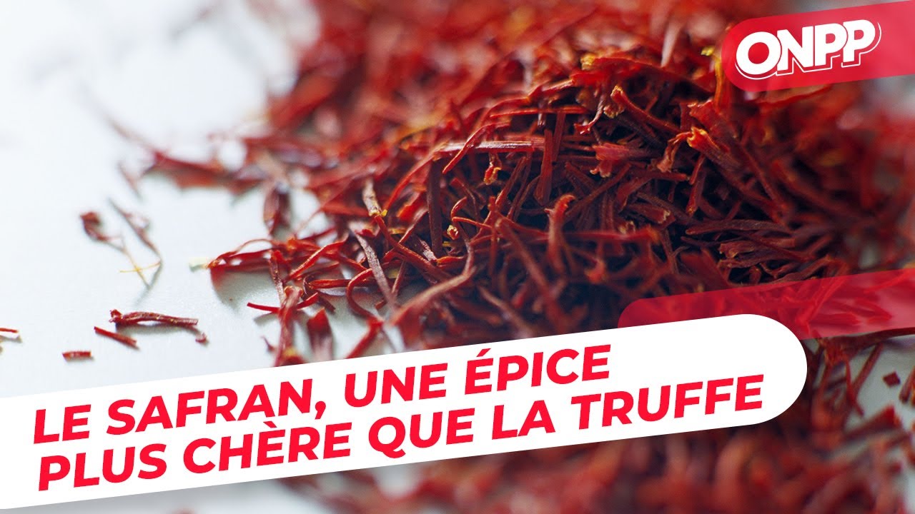 Le safran, une épice qui coûte une fortune - On n'est pas des Pigeons