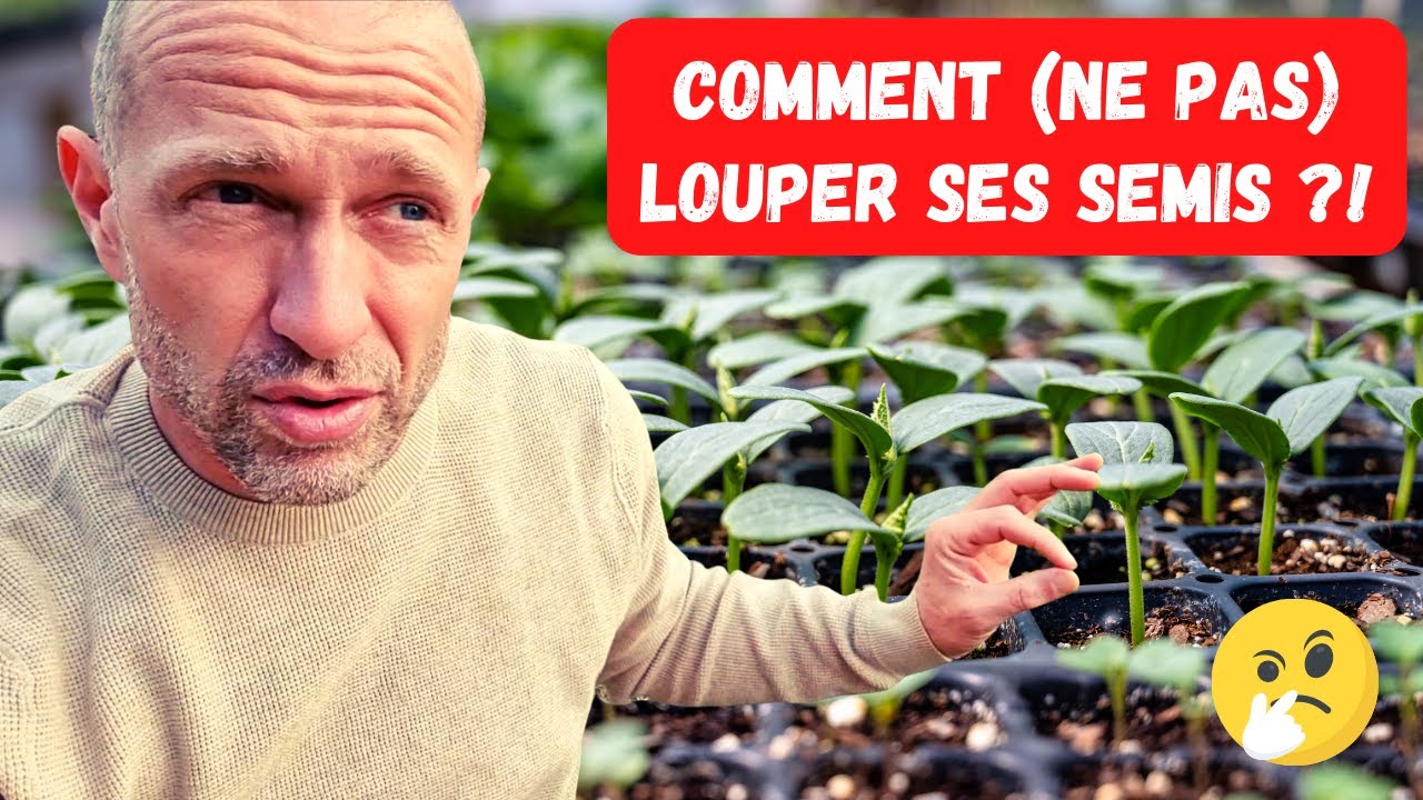 On parle semis en 5 points ► T°, terreau, graines, lumière, eau