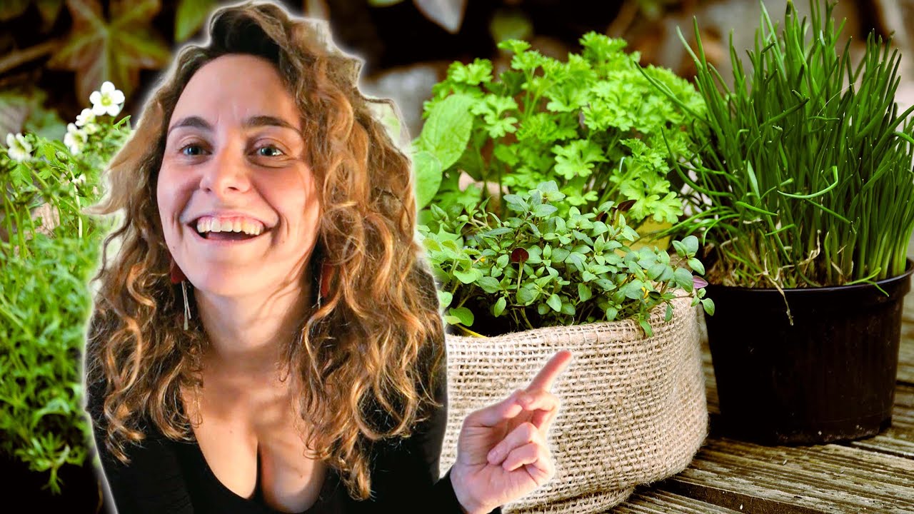 Comment planter ses plantes aromatiques en appartement ?