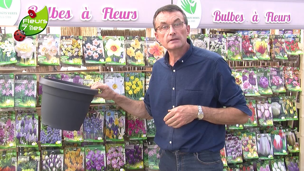 Les bulbes à fleurs. Conseils et astuces pour une floraison réussie !