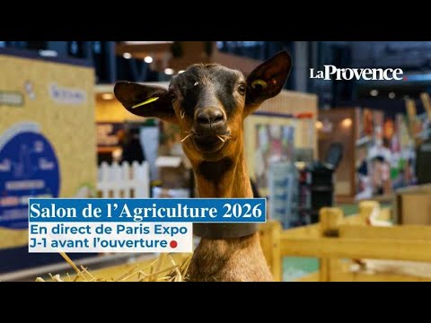 Salon de l'Agriculture 2026 : dans les coulisses de l'évènement à la veille de l'inauguration