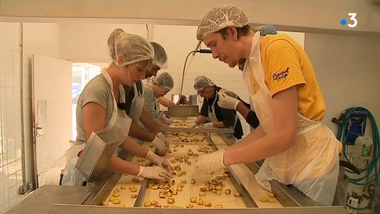 Lozère : la récolte des châtaignes au Castanet en Cévennes