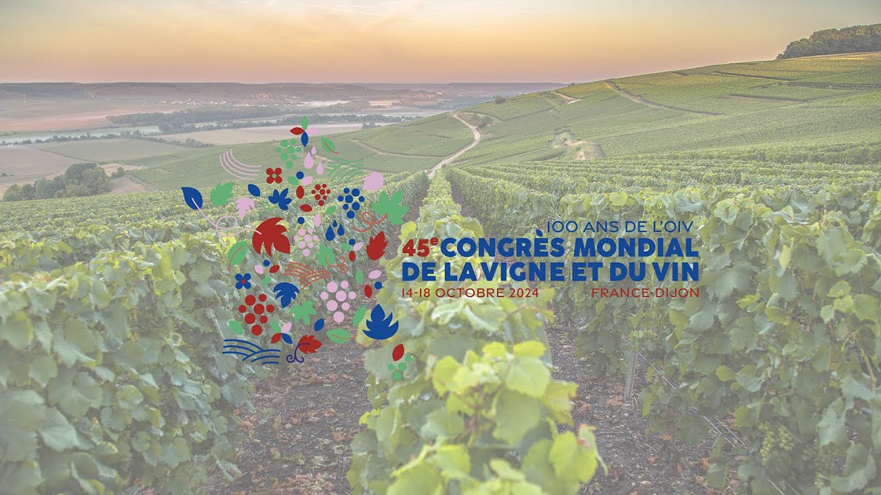 La vigne et le vin, un patrimoine innovant face aux défis du siècle