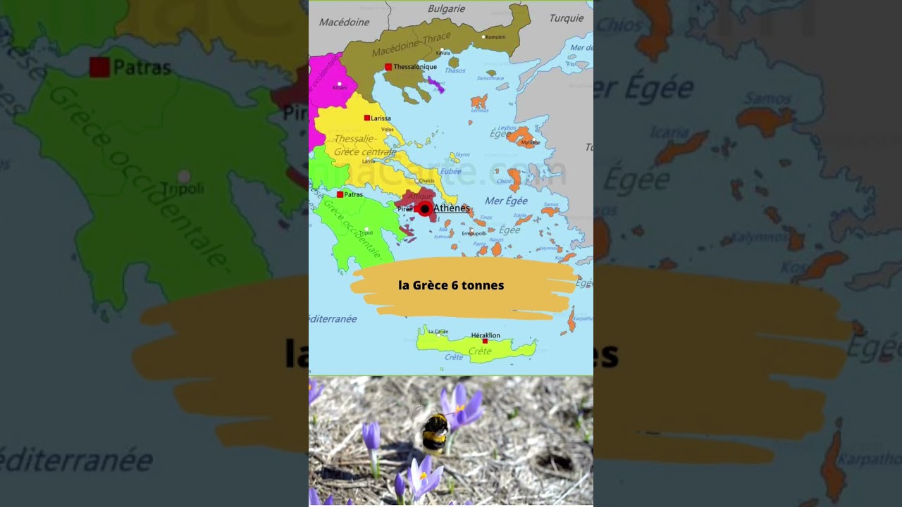 Les pays producteurs de safran #shorts