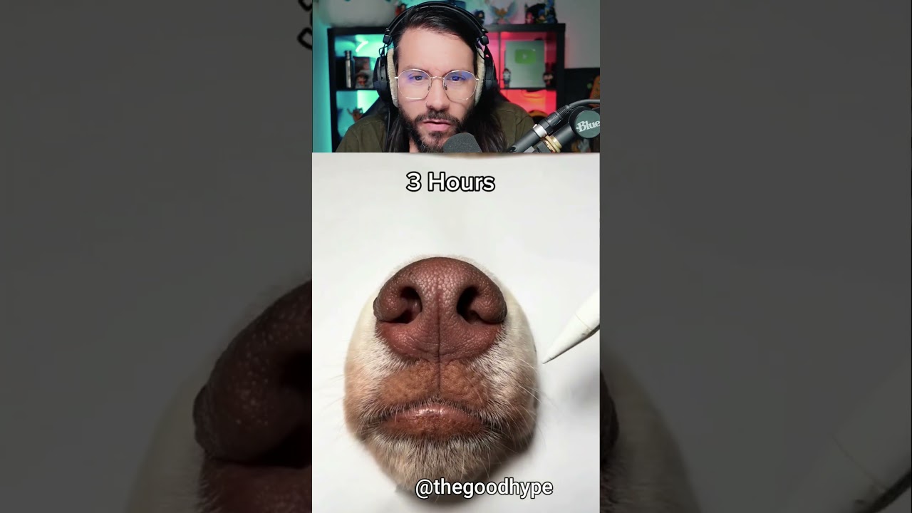 🐶✏️ Dessiner un chien réaliste - reaction Mr Wendy #art #shorts