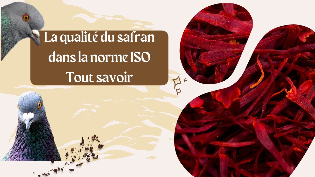 Comment reconnaître un safran de qualité supérieur -  Pourquoi Safran Néguine - Acheter du Safran