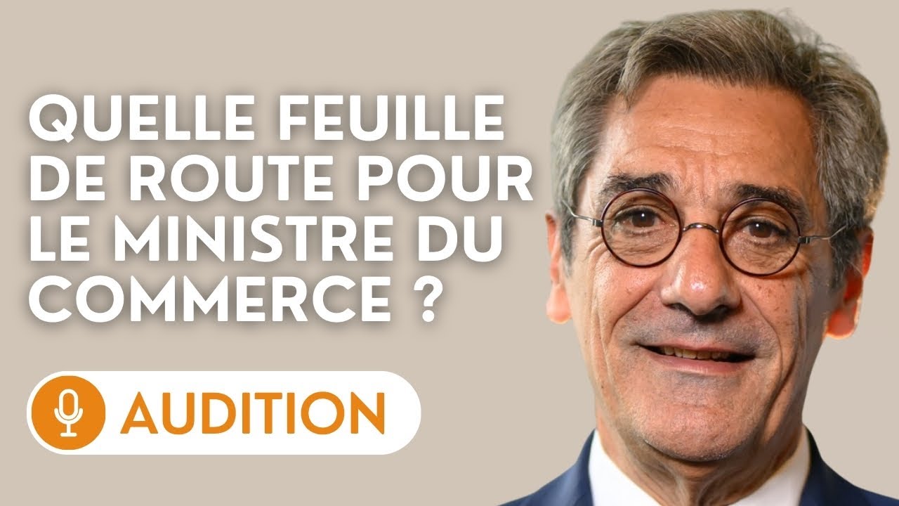 🔴 Audition de Serge Papin, ministre du Commerce, sur sa feuille de route