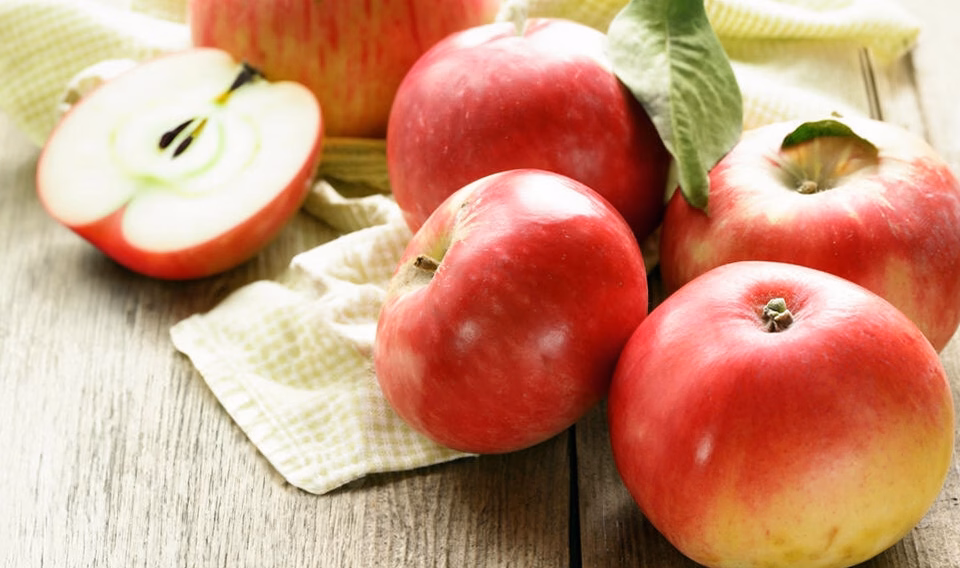 Récolter les pommes : Quand et comment